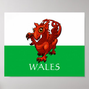 Fierce but Cute Baby Welsh Red Dragon Tecknad Poster