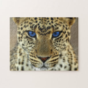 Fierce Leopard Pussel