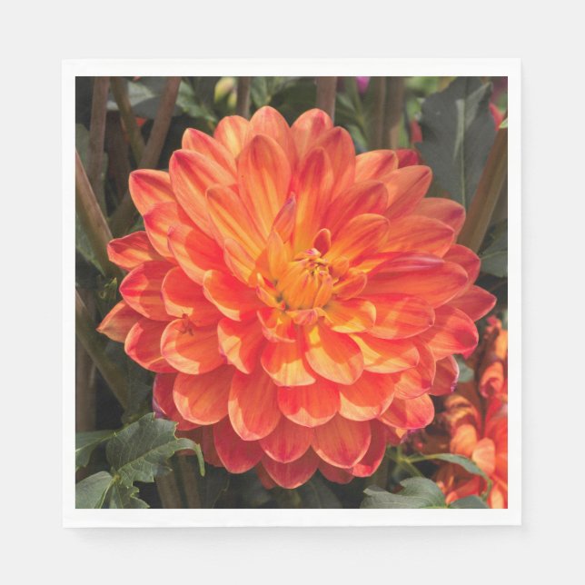Fiery Dahlia Pappersservett (Framsidan)