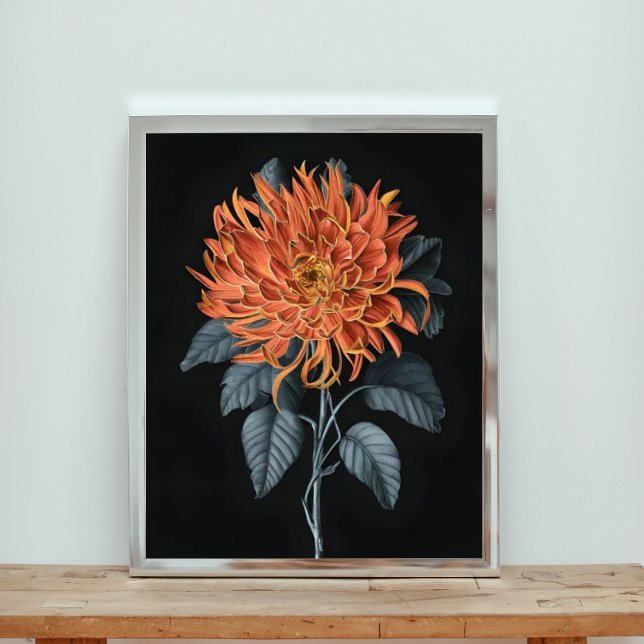 Fiery Elegance: Orange Chrysanthemum Fototryck (Skapare uppladdad)