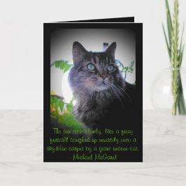Fiery furball - Mickael McGarel-citat Kort