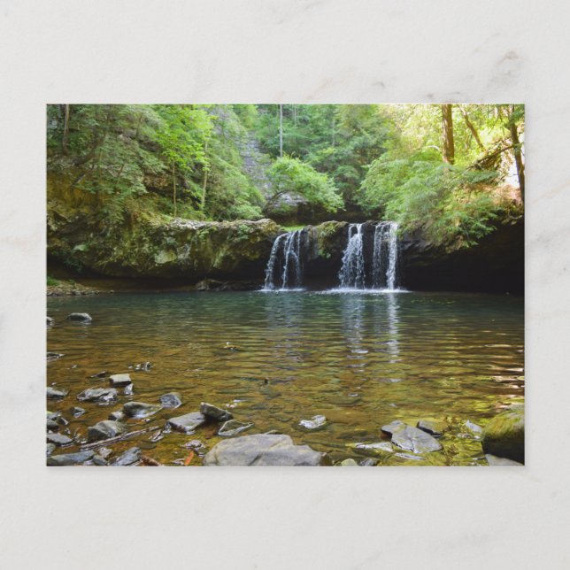 Fiery Gizzard Trail Tennessee-vykort Vykort (Framsida)