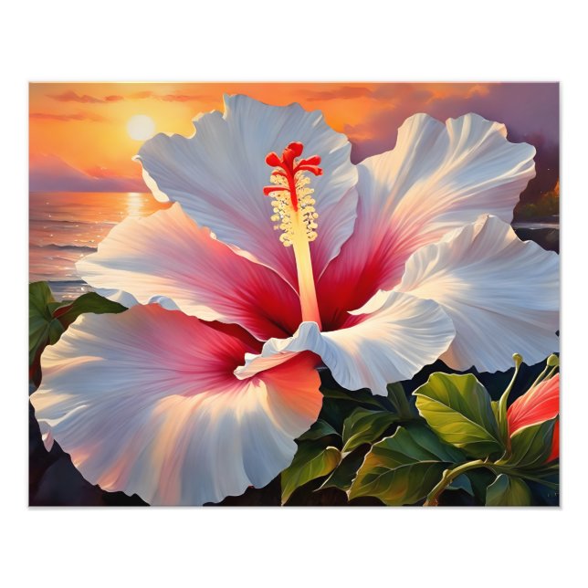 Fiery Hibiscus Bloom vid Sunset Fototryck (Framsidan)