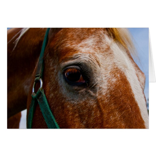 Fiery Ögon Hälsningskort (Framsidan Horizontal)