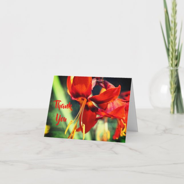 Fiery Orange Lily Flower Tackor You Card Tack Kort (Framsida)