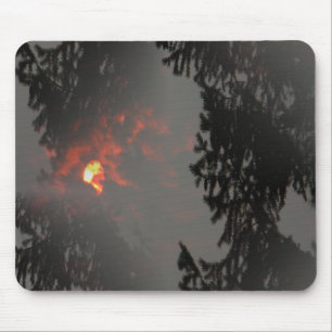 Fiery Sol... Musmatta
