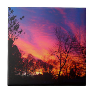 Fiery Sunset genom Träd Kakelplatta