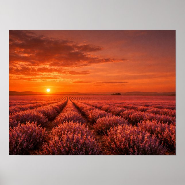 Fiery Sunset Lavender Fields Poster - Warm Orange (Framsidan)