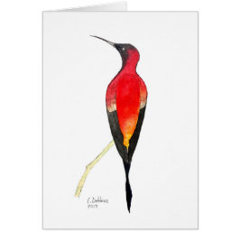 Fiery Topaz Hummingbird Hälsningskort