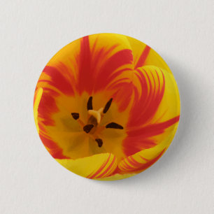 Fiery Tulip-knapp Knapp