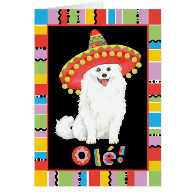 Fiesta American Eskimo Hund Hälsningskort (Framsidan)