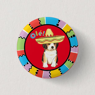 Fiesta Beagle Knapp