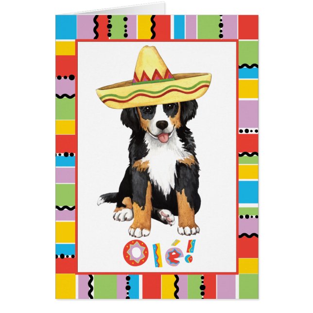 Fiesta Berner Greeting Card Hälsningskort (Framsidan)