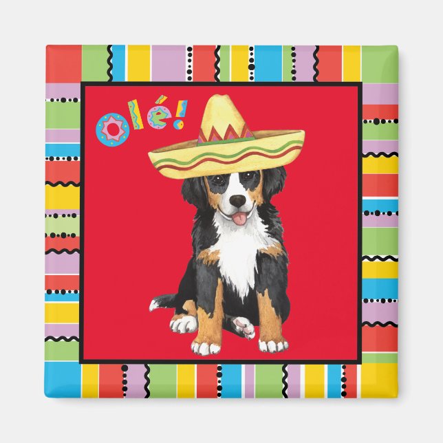 Fiesta Berner Magnet (Framsidan)