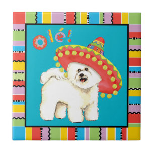 Fiesta Bichon Kakelplatta