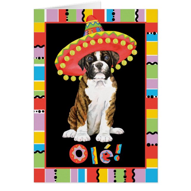 Fiesta Boxer OBS Kort (Framsidan)