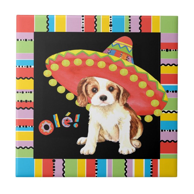 Fiesta Cavalier Kakelplatta (Framsidan)