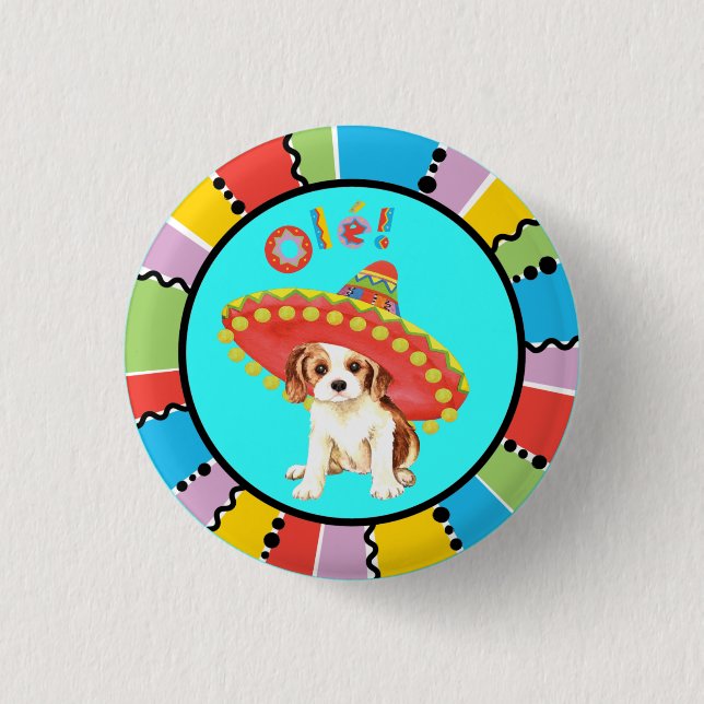 Fiesta Cavalier Knapp (Framsida)