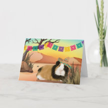 Fiesta Cinco De Mayo Guinea Gris Greeting Card