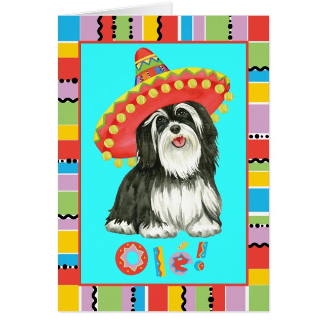 Fiesta Havanese Greeting Card Hälsningskort (Framsidan)