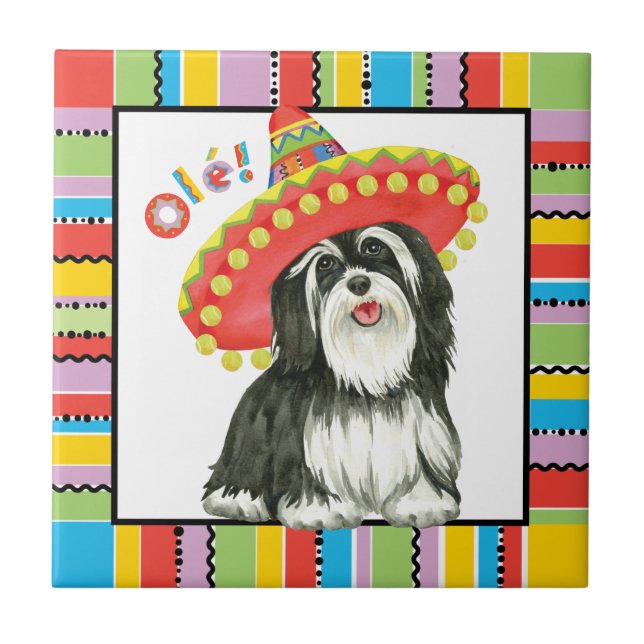 Fiesta Havanese Kakelplatta (Framsidan)