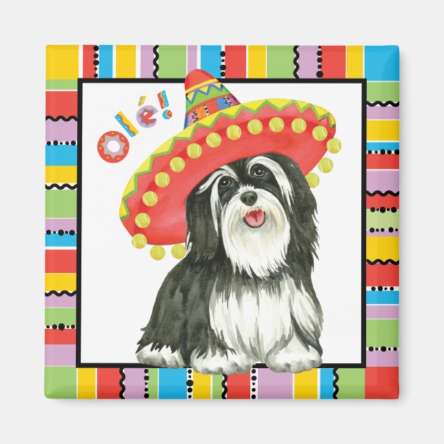 Fiesta Havanese Magnet (Framsidan)