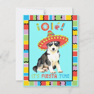 Fiesta Husky Inbjudningar