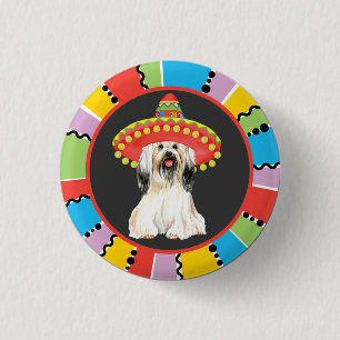 Fiesta Lhasa Apso Knapp
