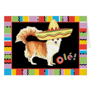 Fiesta Long Jacka Chihuahua Greeting Card Hälsningskort