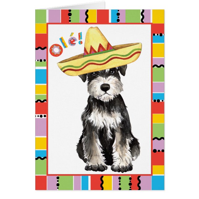 Fiesta Miniature Schnauzer Greeting Card OBS Kort (Framsidan)
