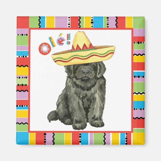 Fiesta Newfoundland Magnet (Framsidan)