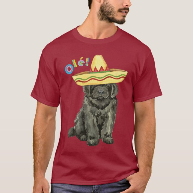Fiesta Newfoundland T-Shirt (Framsida)