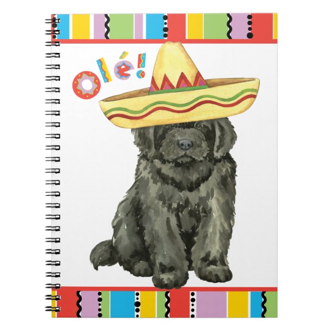 Fiesta Newfoundlands anteckningsbok (Framsidan)