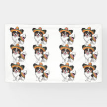 Fiesta Papillon Hund Wearing Sombrero och Sarape