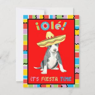 Fiesta Pit Bull Terrier Inbjudningar