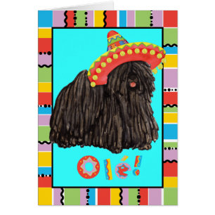 Fiesta Puli-hälsningskort Hälsningskort