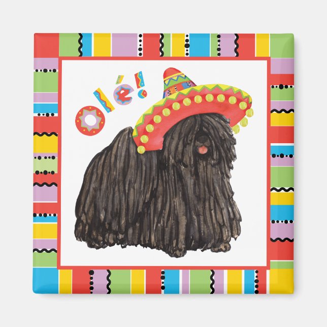 Fiesta Puli Magnet (Framsidan)
