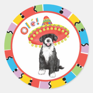 Fiesta PWD Runt Klistermärke