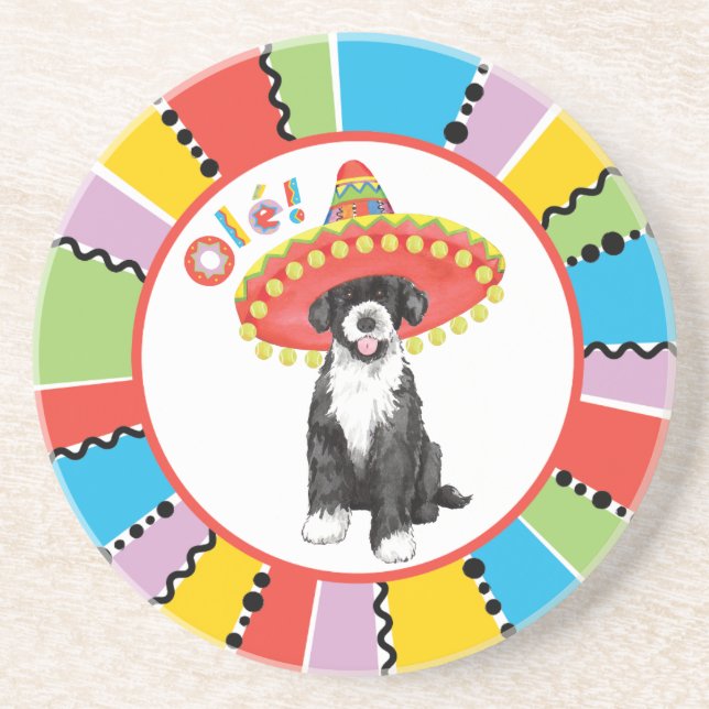 Fiesta PWD Underlägg (Framsidan)