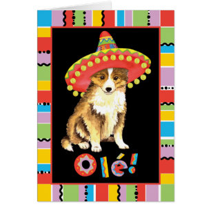 Fiesta Shelty Card Hälsningskort