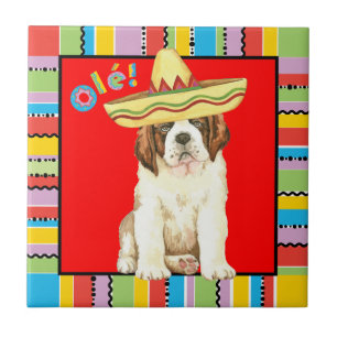 Fiesta St Bernard Kakelplatta