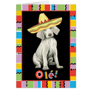 Fiesta Weimaraner Greeting Card OBS Kort