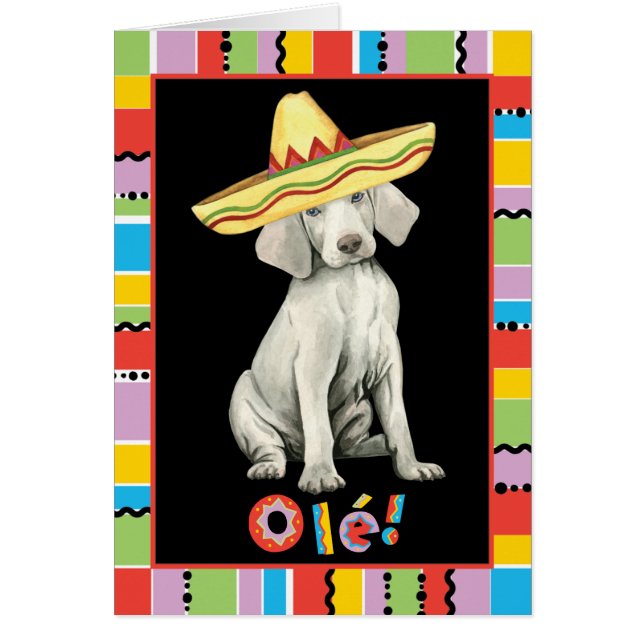 Fiesta Weimaraner Greeting Card OBS Kort (Framsidan)
