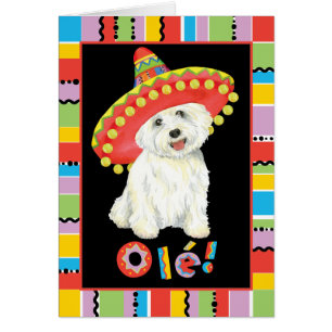 Fiesta Westie Greeting Card Hälsningskort