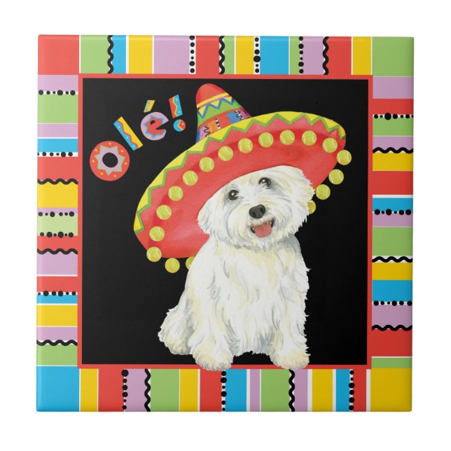 Fiesta Westie Kakelplatta (Framsidan)