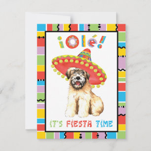 Fiesta Wheaten Inbjudningar