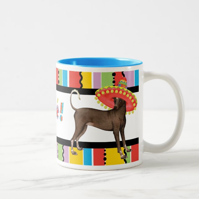 Fiesta Xolo Två-Tonad Mugg (Höger)