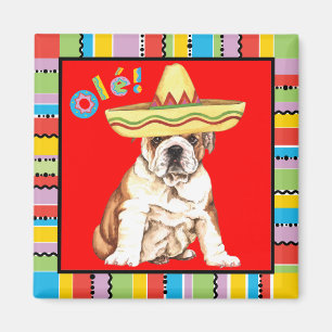 Fiestabulldogg Magnet