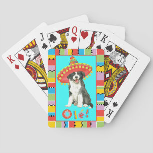 FiestagränsCollie Casinokort