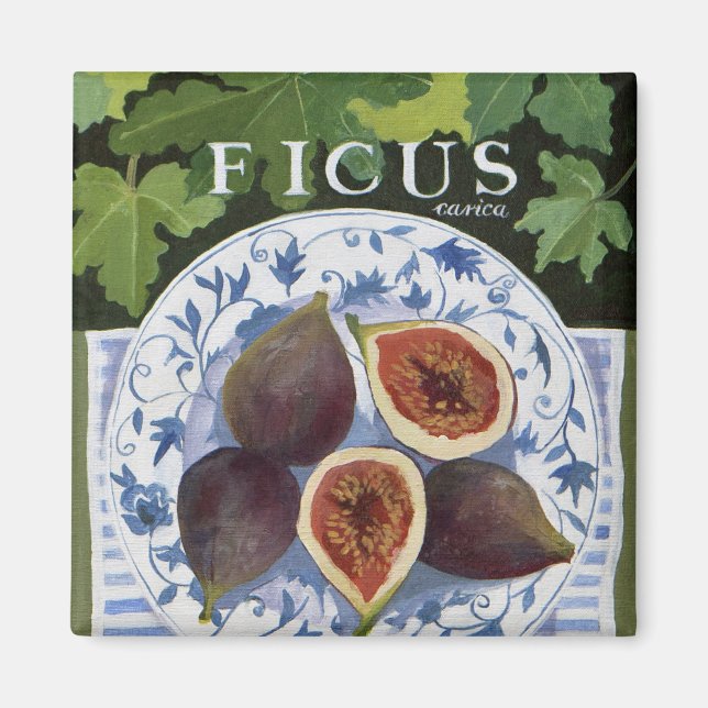 Fieus Magnet (Framsidan)